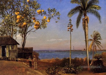 Une vue aux Bahamas Albert Bierstadt Peinture à l'huile